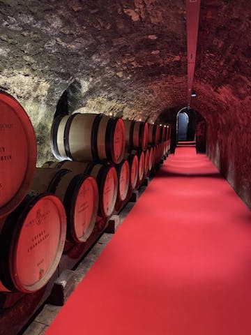 The 163rd Hospices de Beaune wine auction, organised by Sotheby's, made history, becoming the institution's second best sale.